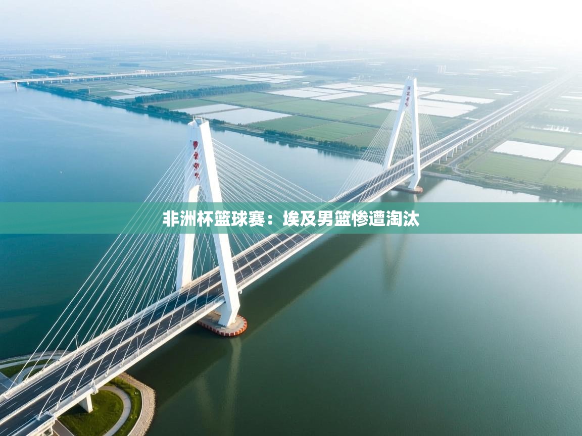 非洲杯篮球赛：埃及男篮惨遭淘汰  第1张