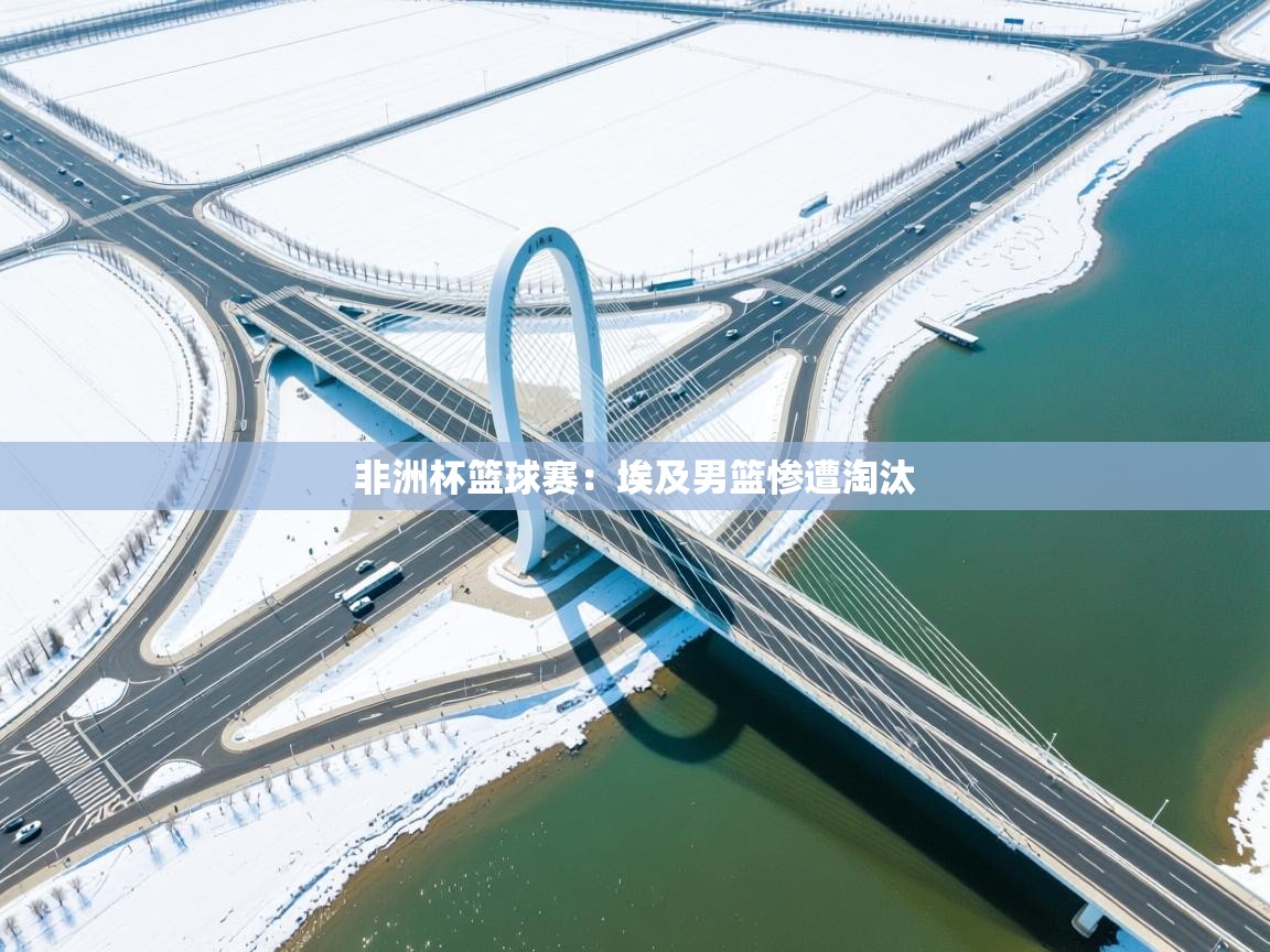 非洲杯篮球赛：埃及男篮惨遭淘汰  第2张