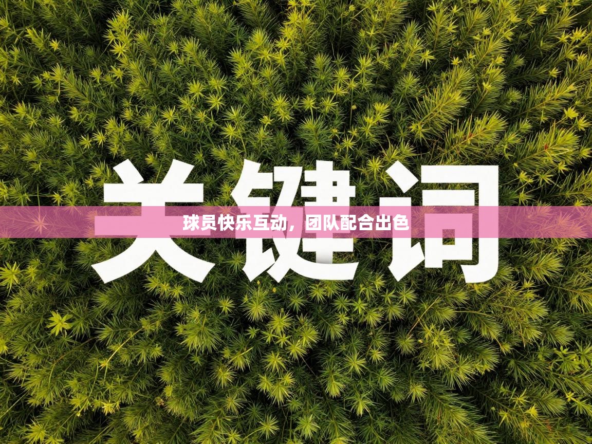 球员快乐互动，团队配合出色  第2张